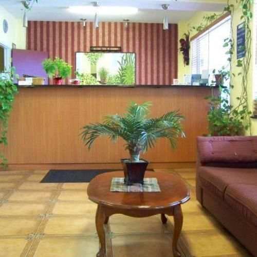 Bayside Inn Pinellas Park - Clearwater Nội địa bức ảnh